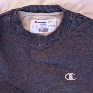 CHAMPION vintage crewneck sweater